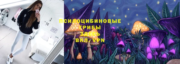 марки nbome Вяземский